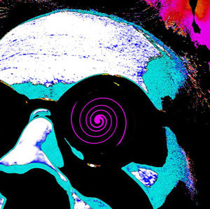 Meet your Posher, Nathan